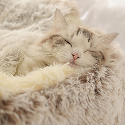 ComfyPaw™ - Fluffy Pet Bed
